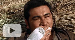 YouTube�����