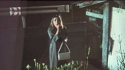 �V�[����ʉt�����B�e�����摜