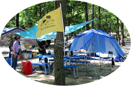 �L�����v���i�X�i�b�v