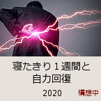 �Q������P�T�ԂƎ��͉񕜁b2020�b�\�z��